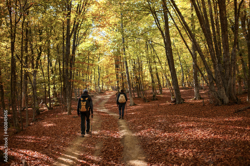 Fototapeta Naklejka Na Ścianę i Meble -  Men walk into the magical sunny forest landscape with colorful autumn season leaves. Fantastic autumn day in forest. Fall Landscape.