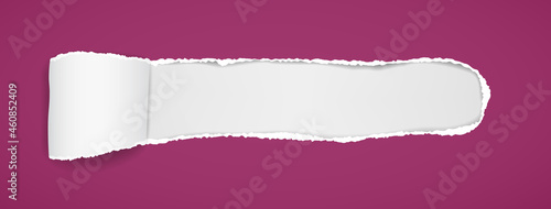 Violet oblong hole composition in paper with torn edges and soft shadow is on white background. Vector illustration