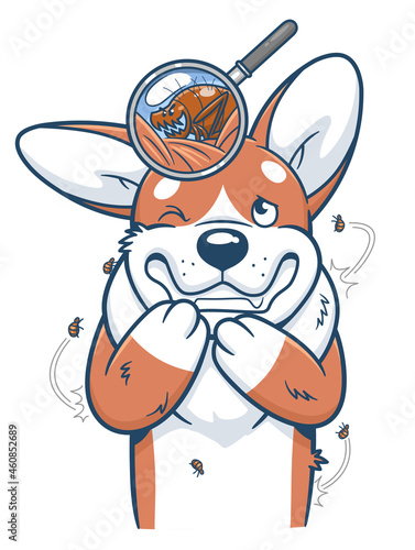 Cartoon dog Corgi with fleas