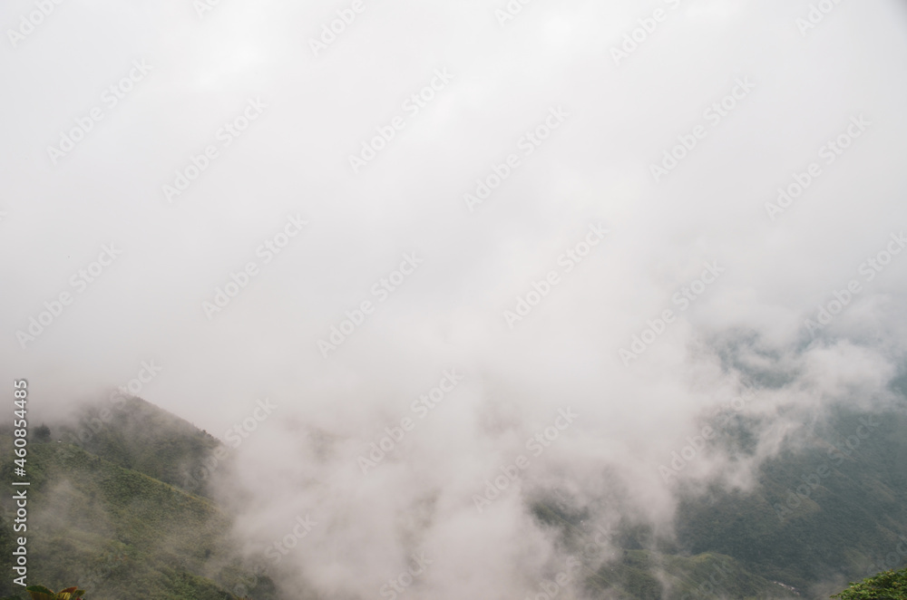 White floating clouds covering the mountain and forest. Top view of floating clouds above the high mountains