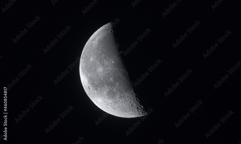 moon moon