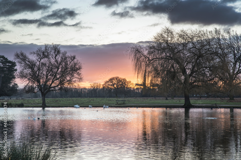 Fototapeta premium First light in January