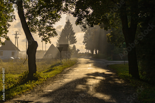 Fototapeta Naklejka Na Ścianę i Meble -  Początki jesieni, Mazury, Wrony