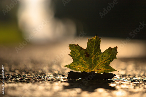 Fototapeta Naklejka Na Ścianę i Meble -  Początki jesieni, Mazury