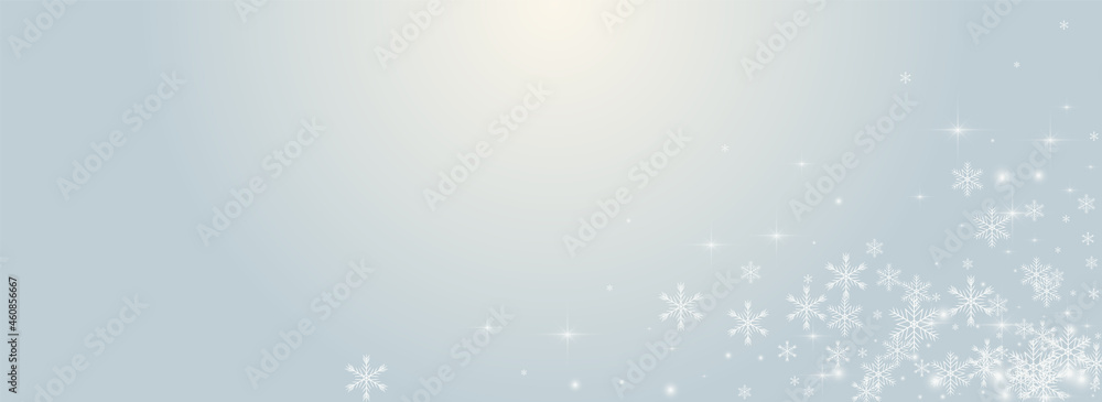 White Flake Vector Panoramic Transparent White Flake Vector Panoramic Transparent