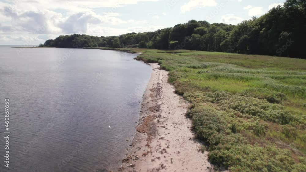Drone flying low over the coast along the reed on the bank - Dolly Shot Drone flying low over the coast along the reed on the bank - Dolly Shot