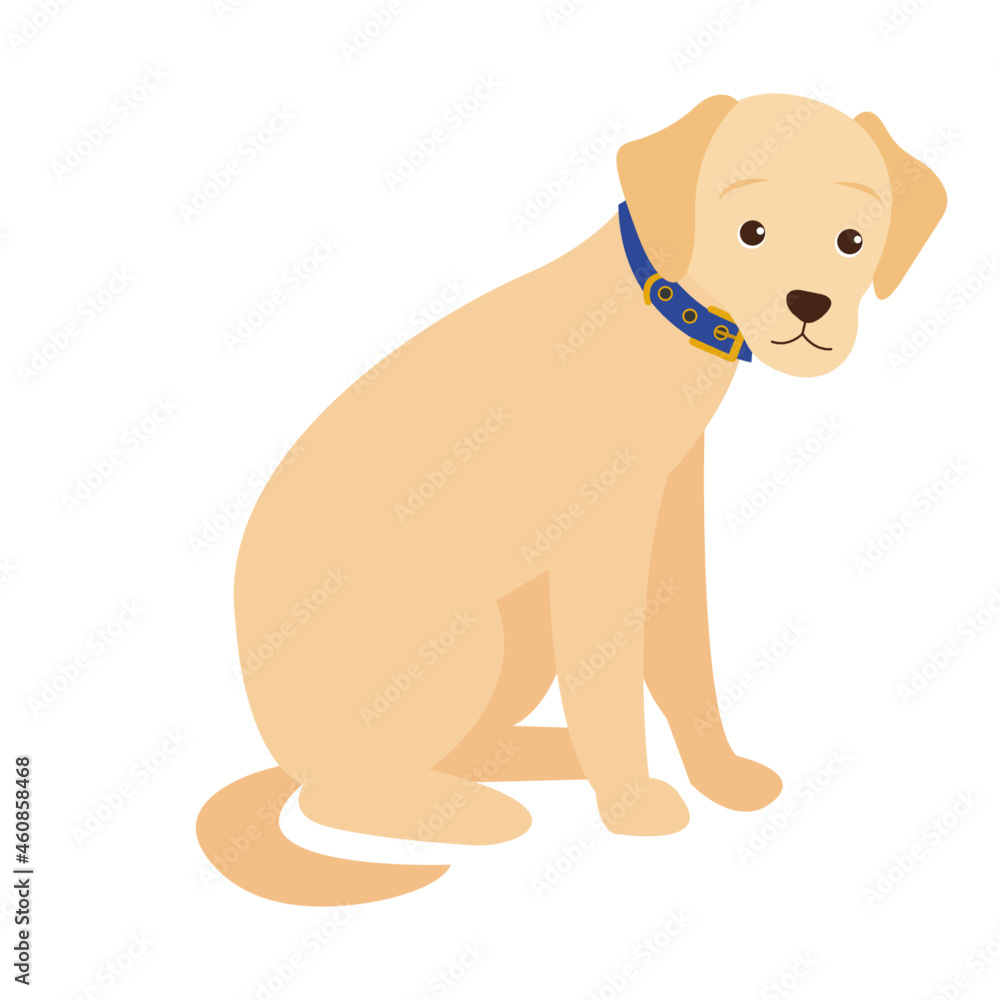 Obraz premium dog