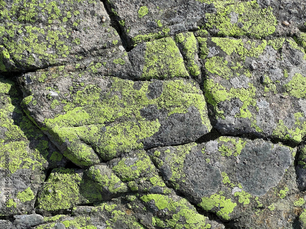 Texture of large mountain stone with moss. Rock. Natural real background
