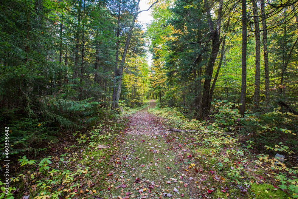 Obraz premium Colorful Canadian autumn in Mont Tremblant, Quebec