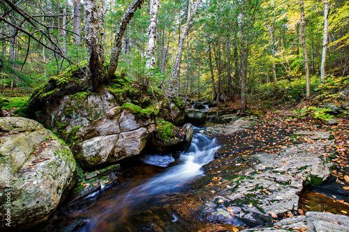 Colorful Canadian creek in Mont Tremblant national park 