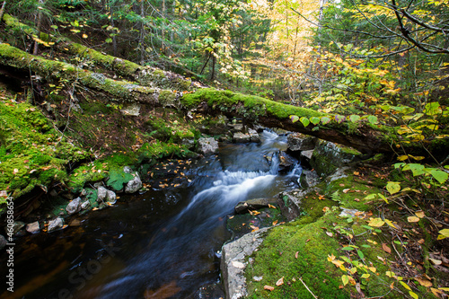 Colorful Canadian creek in Mont Tremblant national park 