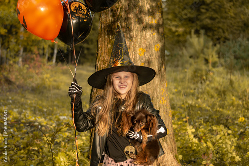 Funny child girl in a witch costume for Halloween with a small dog and with black and orange balloons.