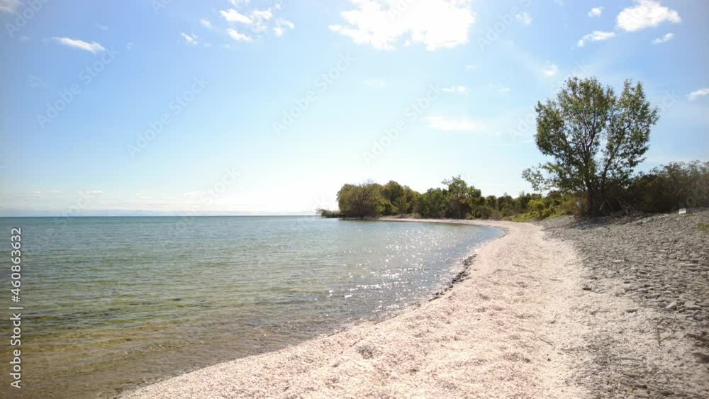 A nice, early fall, walk out to Traverse Point at the shore of Lake Ontario. This is part of Prince Edward County in Canada. Zebra mussel shells line the shore. A nice, early fall, walk out to Traverse Point at the shore of Lake Ontario. This is part of Prince Edward County in Canada. Zebra mussel shells line the shore.