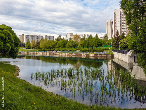 The Reed pond in Zelenograd Moscow, Russia © olgavolodina