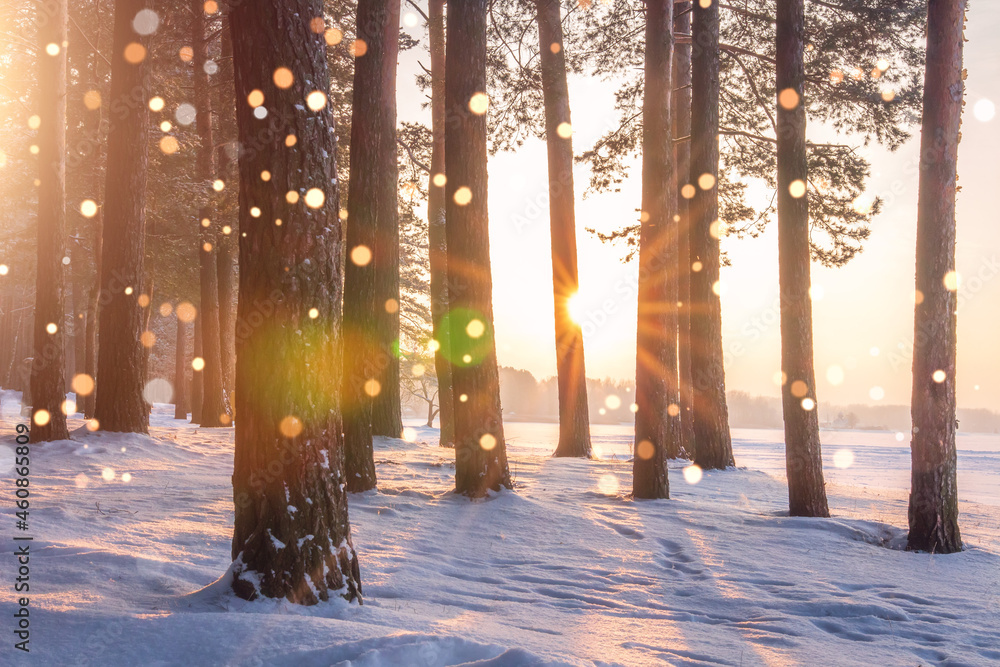 Winter scenery of brightly morning. Background with some soft highlights and snow flakes.
