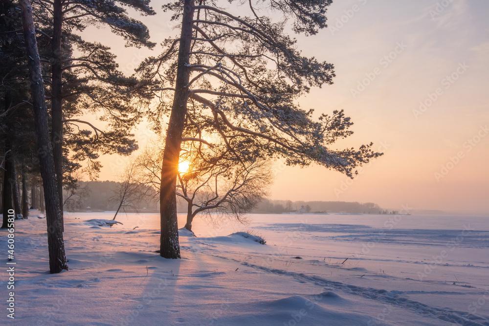 January cold morning over a frozen lake. Red sun low over the woodland. Sunrays break through branches tree. Trees and land are cover snow. Cold white color around everything.