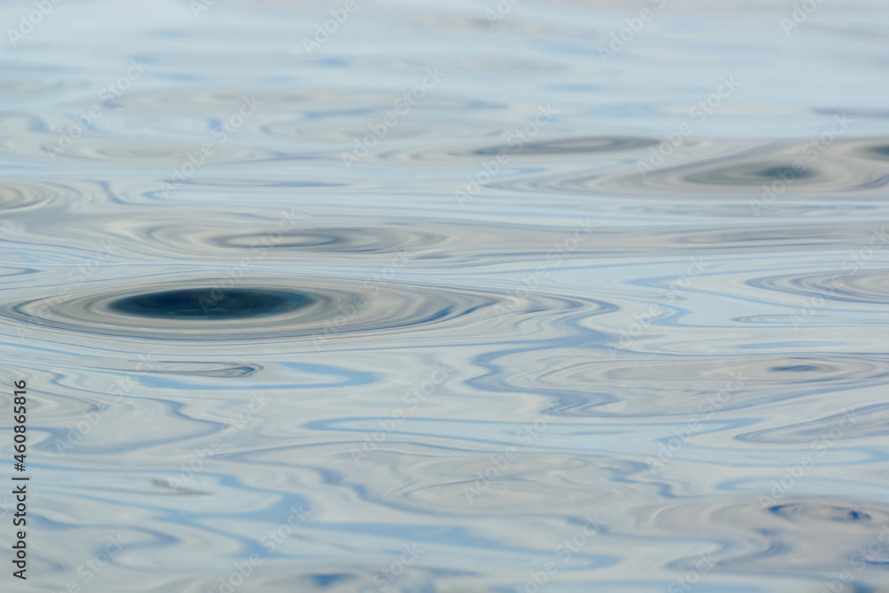 blurred background from the water surface blurred background from the water surface