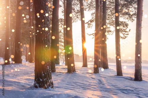 Obraz na płótnie Winter scenery of brightly morning. Background with some soft highlights and snow flakes. w salonie