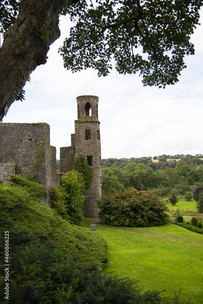 tower of the castle in the country tower of the castle in the country