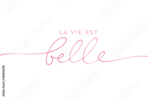 La Vie est Belle vector line lettering. Life is Beautiful in French. Black handwriting calligraphy isolated on white background. French expression, beautiful text. Modern brush calligraphy.  photo