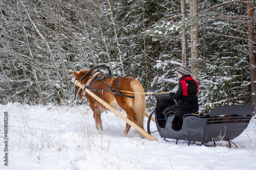 Woman and horse with sleigh © citikka
