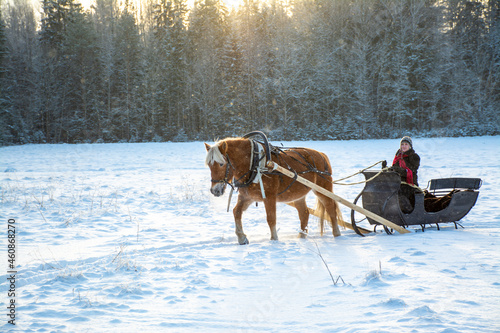Woman with horse driven sleigh