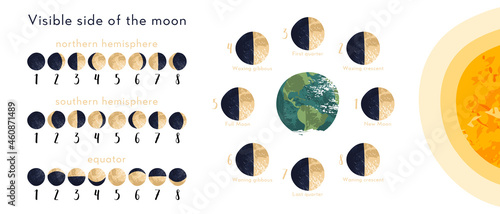 Moon phase, lunar cycle, synodic month. Lunary visible side. New and full moon, waxing and waning crescent, first and last quarter, gibbous. Astronomy, astrophysics. Vector flat cartoon illustration