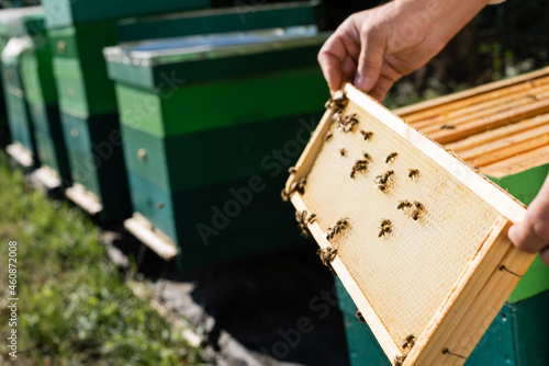 cropped view of bee master with honeycomb frame near blurred beehives