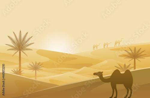 Desert with Camel and Sand Dune Scenery Background