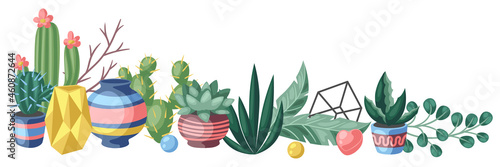 Background with cactuses and succulents. Decorative spiky flowering cacti and plants in flowerpots.
