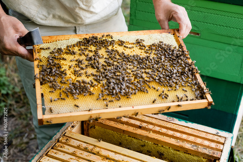 partial view of bee master with scraper holding blurred honeycomb frame near beehive
