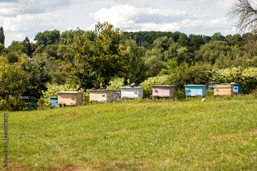Multicolored bee hives in the meadow