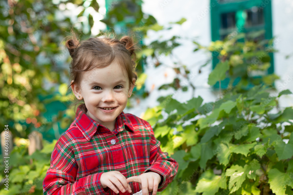 Little funny child with two ponytails on his head in a checkered red shirt on a blurred rustic background Little funny child with two ponytails on his head in a checkered red shirt on a blurred rustic background