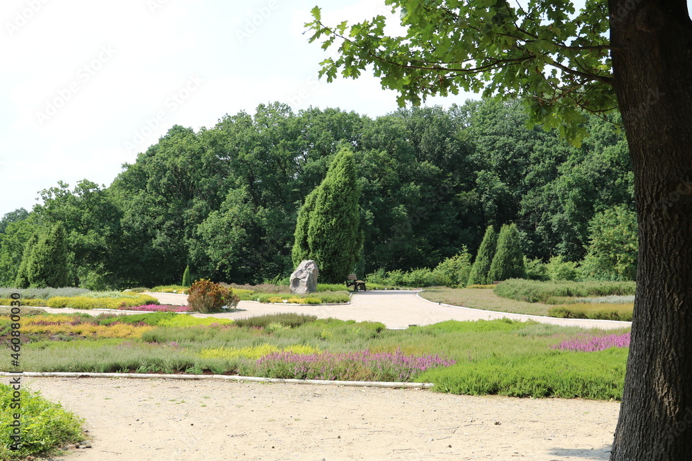 Idylle im schönen Heidegarten Schneverdingen in der Lüneburger Heide