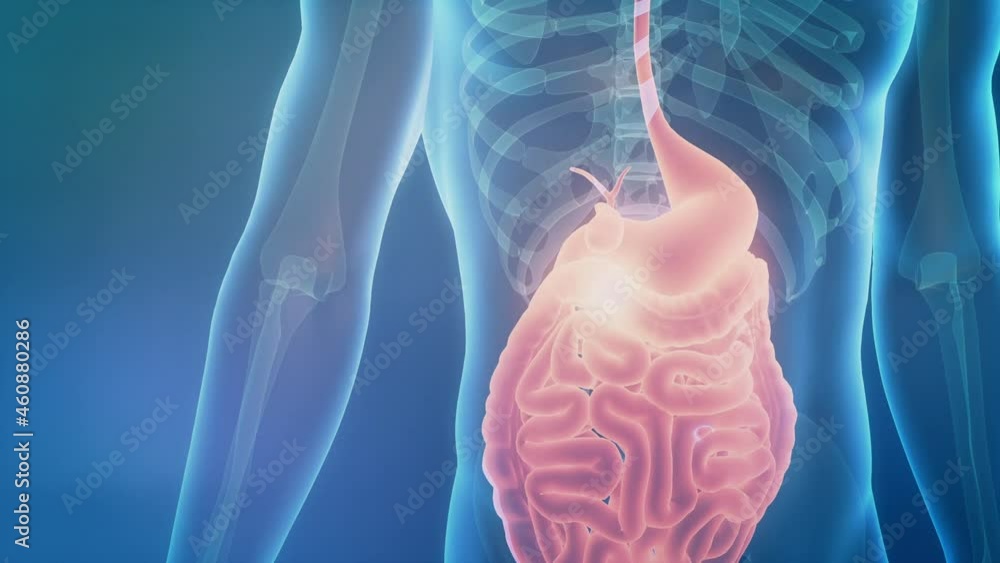 Video „Billions of microbiome attack and destroy virus inside gut