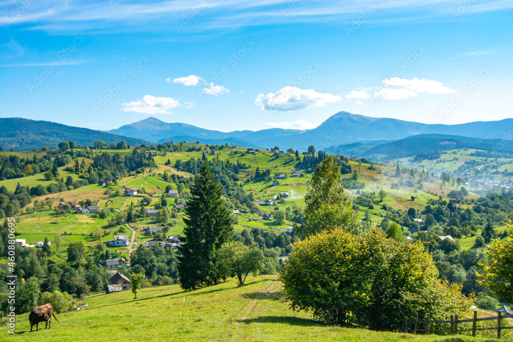 Naklejka premium Beautiful Carpathian landscape National Park. Carpathian, Ukraine, Europe. Beauty world.