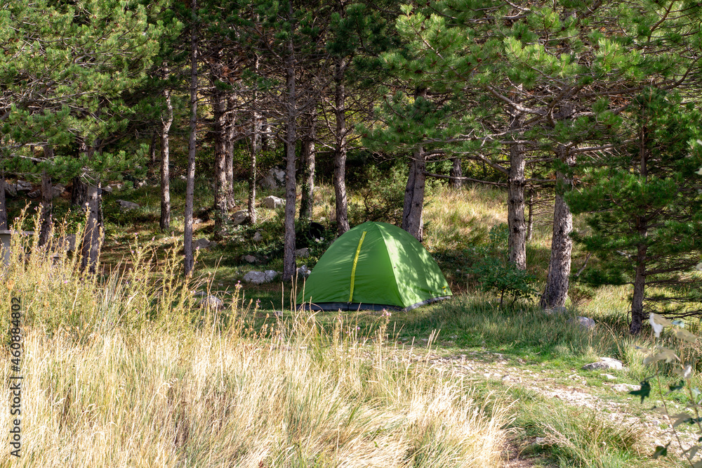 camping in the forest