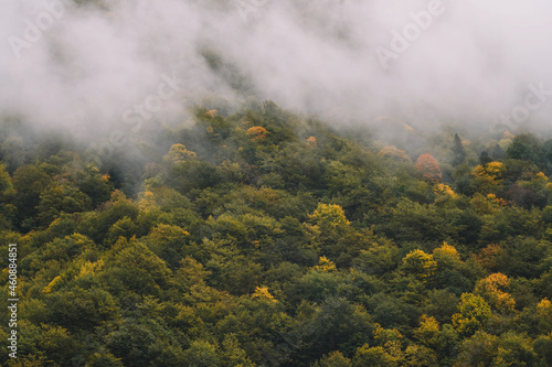Misty Autumn Mountain Aerial View