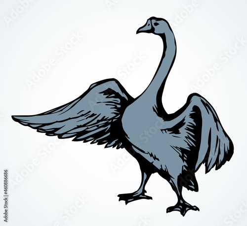 Goose in flight. Vector drawing