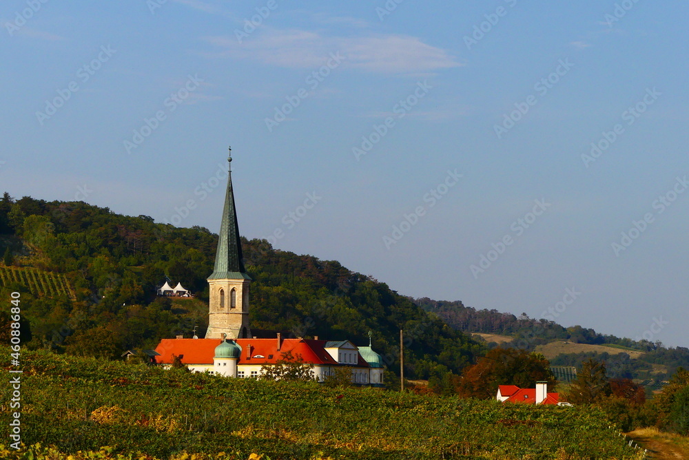 Schloss in den Weingärten Gumpoldskirchen