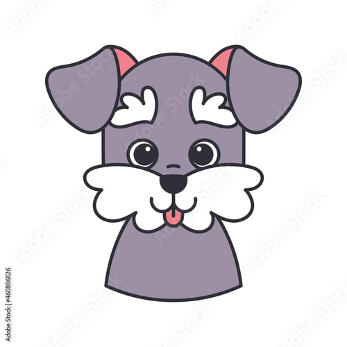 Isolated cute avatar of a schnauzer dog breed Vector illustration