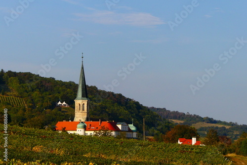 Schloss in den Weingärten Gumpoldskirchen photo