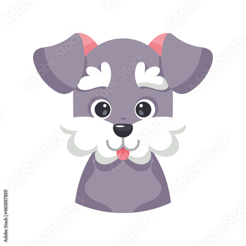 Isolated cute avatar of a schnauzer dog breed Vector illustration