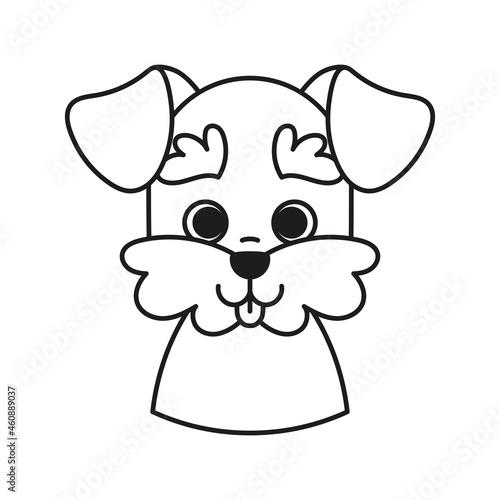 Isolated cute avatar of a schnauzer dog breed Vector illustration