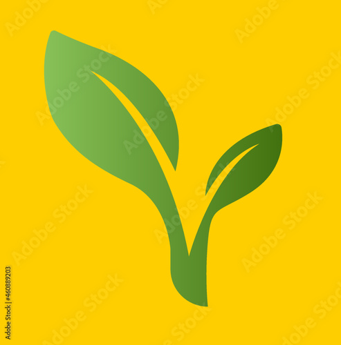 Plantas
