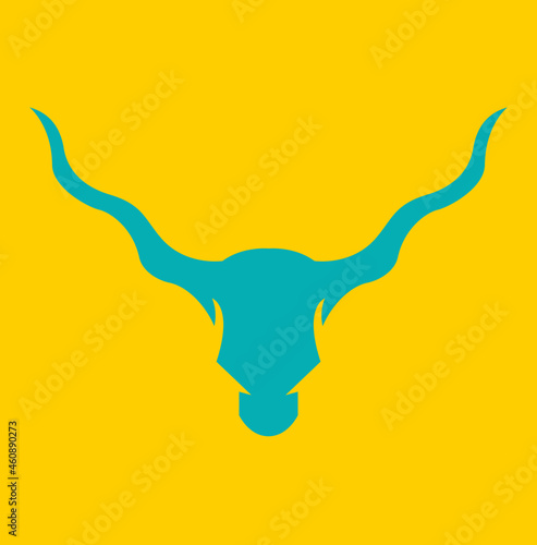  Texas longhorn