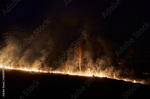 fire at night in nature,emergency at night burning dry grass on the background of the city