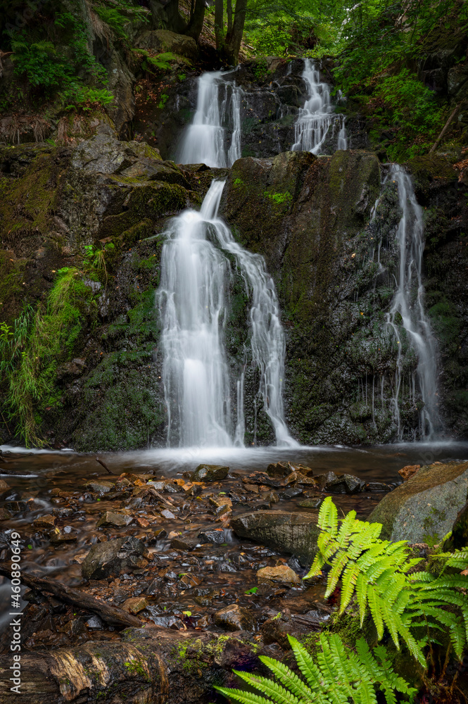 Fototapeta premium Waterfall