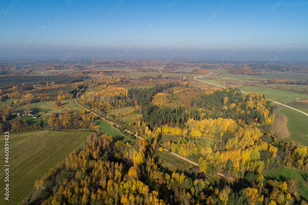 A bird's flight over fields dressed in autumn colors