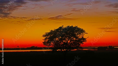 Pantanal MS -  Brasil